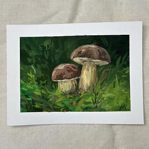 Pilze im grünen Schatten